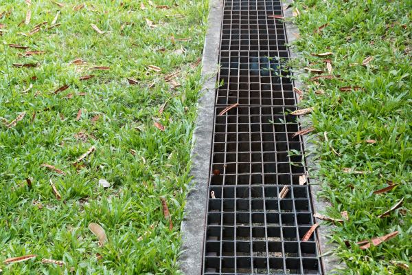 A drain in a backyard