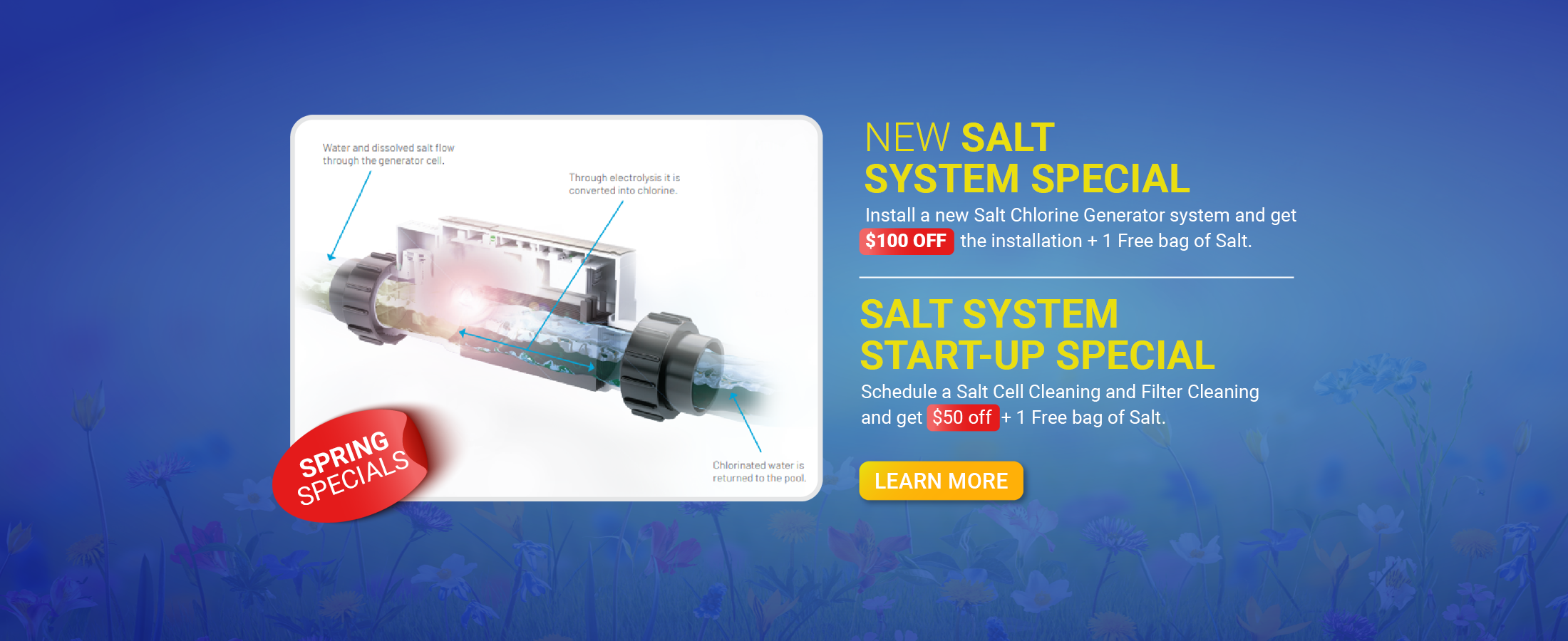 new Salt Chlorine Generator system offer